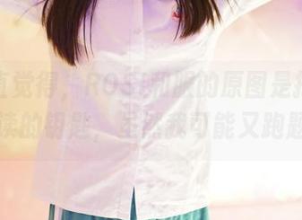我一直觉得，ROSI和服的原图是打开历史阅读的钥匙，虽然我可能又跑题了。