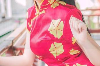 巧克力小圆面包的新图包更新，入职培训的乐趣在哪里，继续探索吧！
